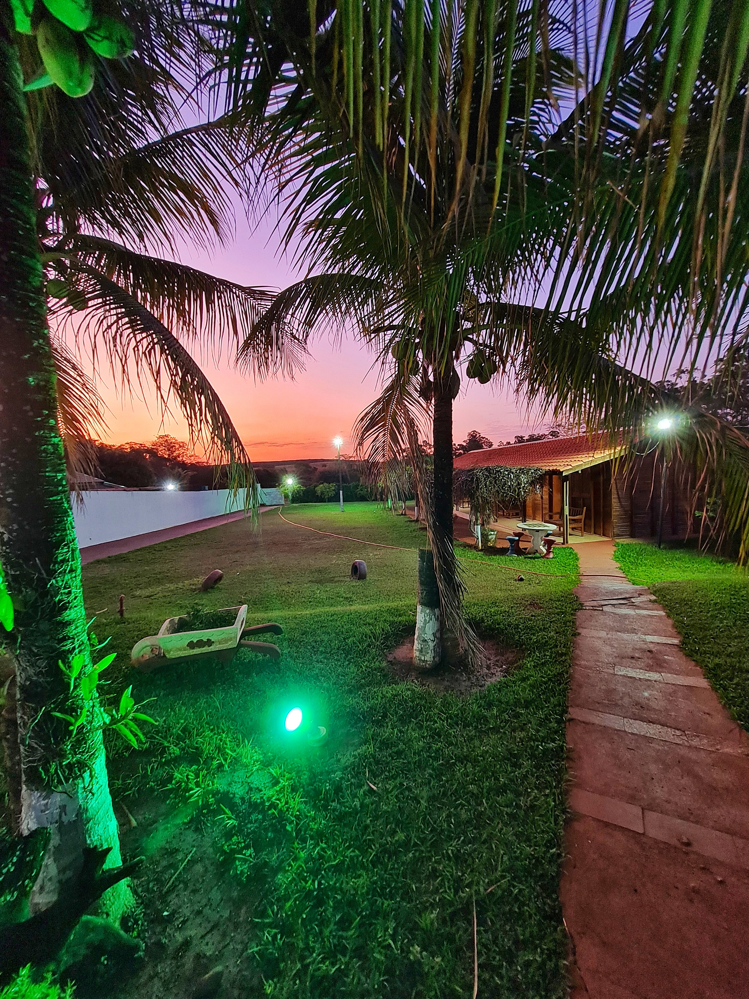 Caminho iluminado no jardim durante o pôr do sol dourado